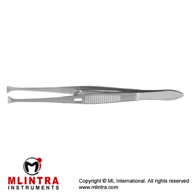 Graefe Fixation Forcep Stainless Steel, 11 cm - 4 1/4" 